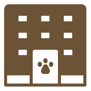 Asilo casalingo diurno per 1 cane