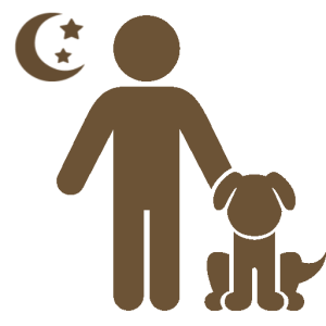 Servizio Dog Sitter Notturno a domicilio