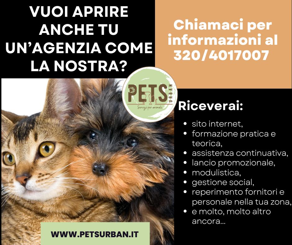 Apri un&rsquo;agenzia come la nostra